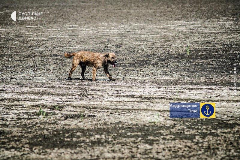 The Khanzhonkiv reservoir at the occupied territory of the Donetsk region has run out of water