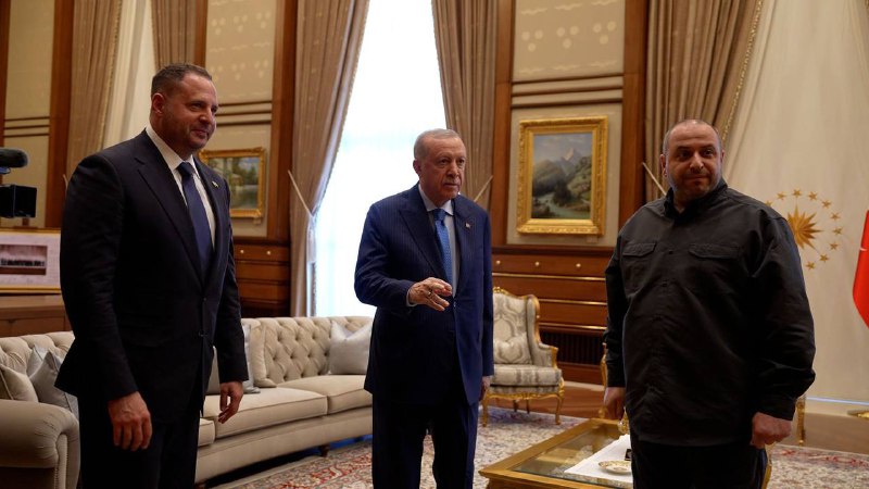 Ukrainian delegation met with President Erdogan 
