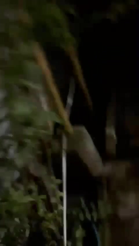 Drones have attacked oil depot in Sochi