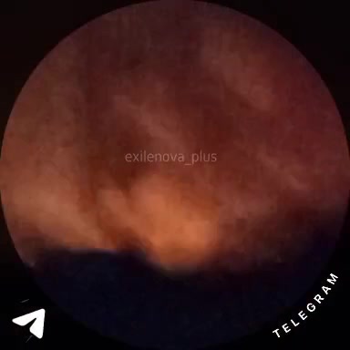 Drones raid reported at the oil refinery in Volgograd