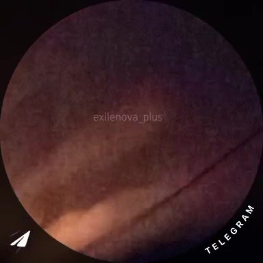 Drones raid reported at the oil refinery in Volgograd