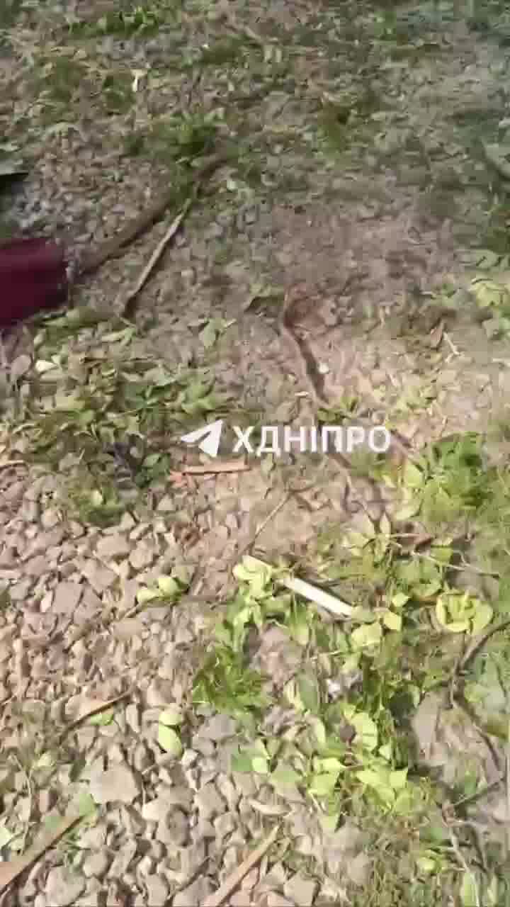 Russian aviation targeted government services center in Malomykhailivka village of Dnipropetrovsk region with glide bomb