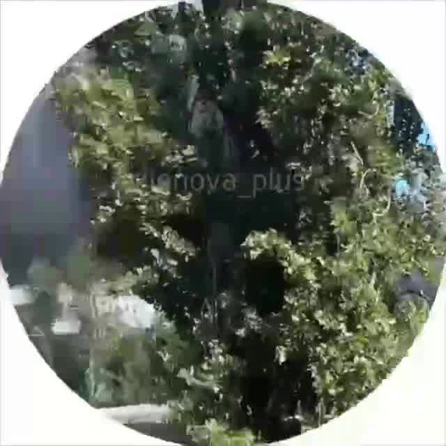 Explosions were reported in Sieverodonetsk as result of drone strikes