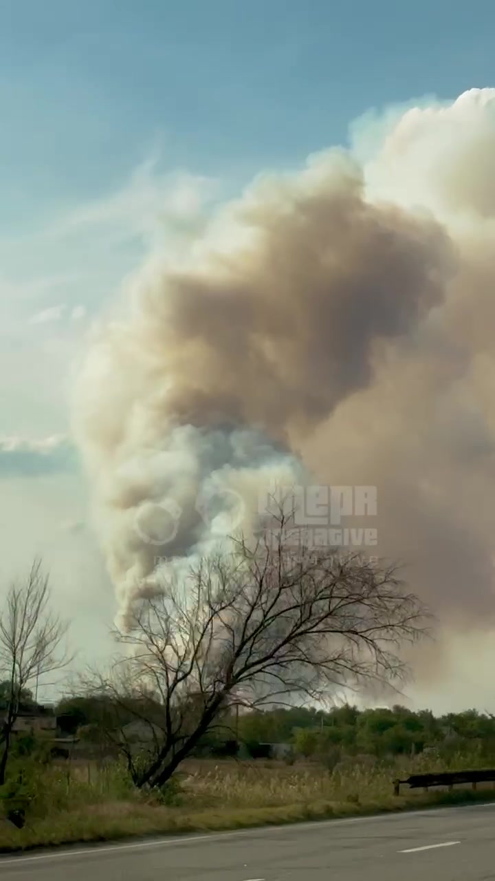 Big forest fire near Obukhivka of Dnipropetrovsk region