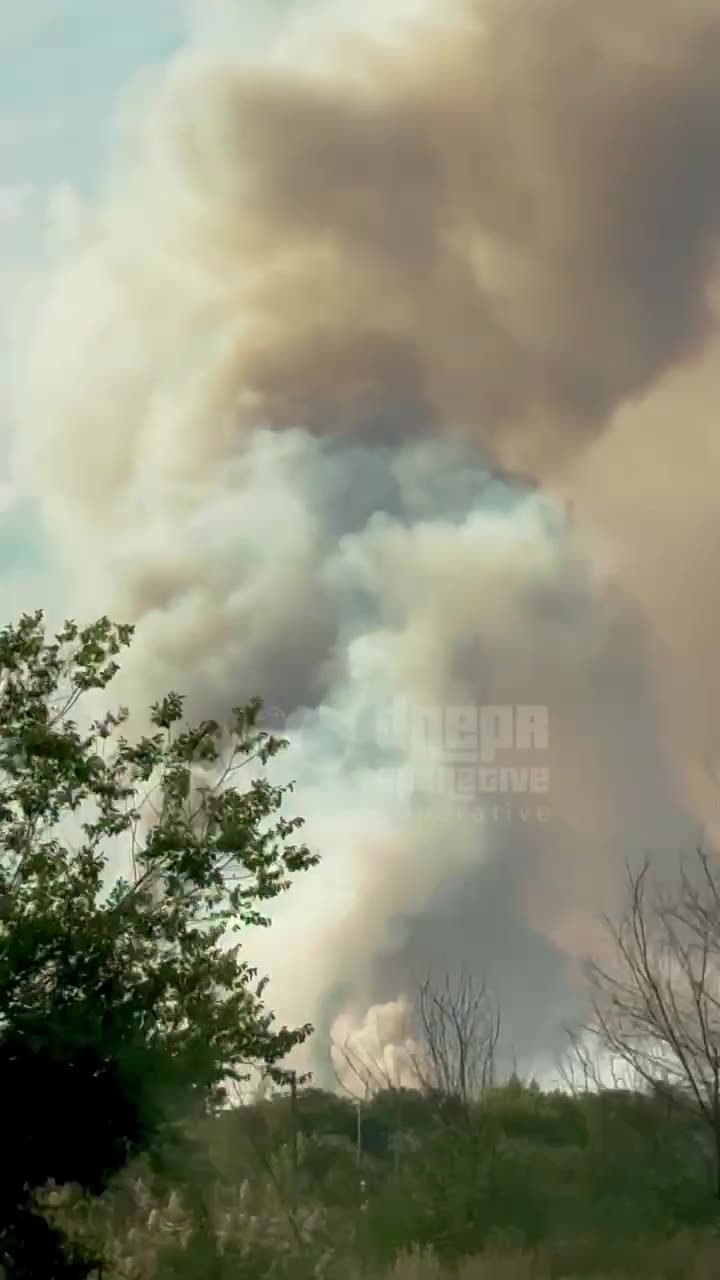 Big forest fire near Obukhivka of Dnipropetrovsk region