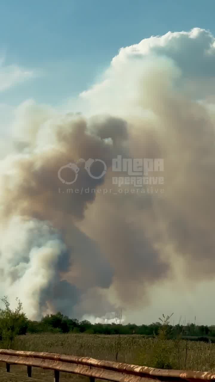 Big forest fire near Obukhivka of Dnipropetrovsk region