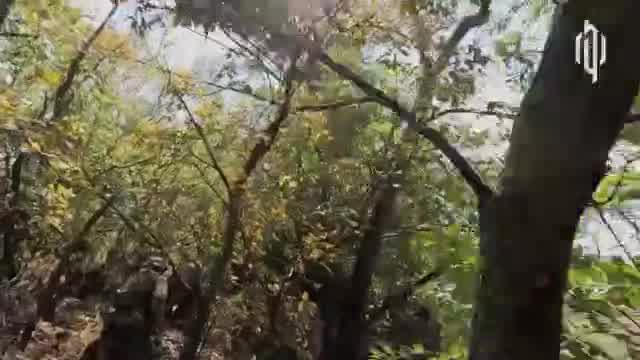 Ukrainian Defense forces have cleared Sichneve village of Dnipropetrovsk region of Ukraine