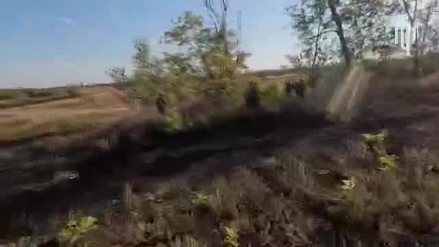 Ukrainian Defense forces have cleared Sichneve village of Dnipropetrovsk region of Ukraine