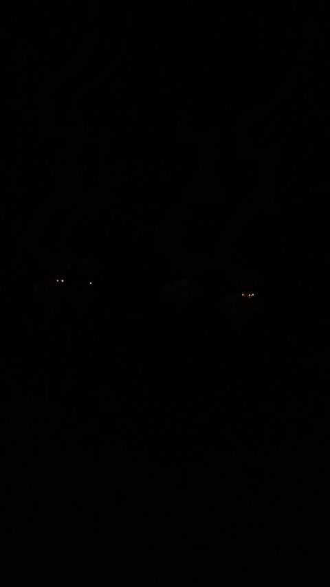 Drones have attacked substation in Peskovatka of Lipetsk region