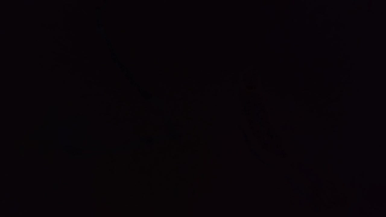 Explosions were reported in Berdyansk