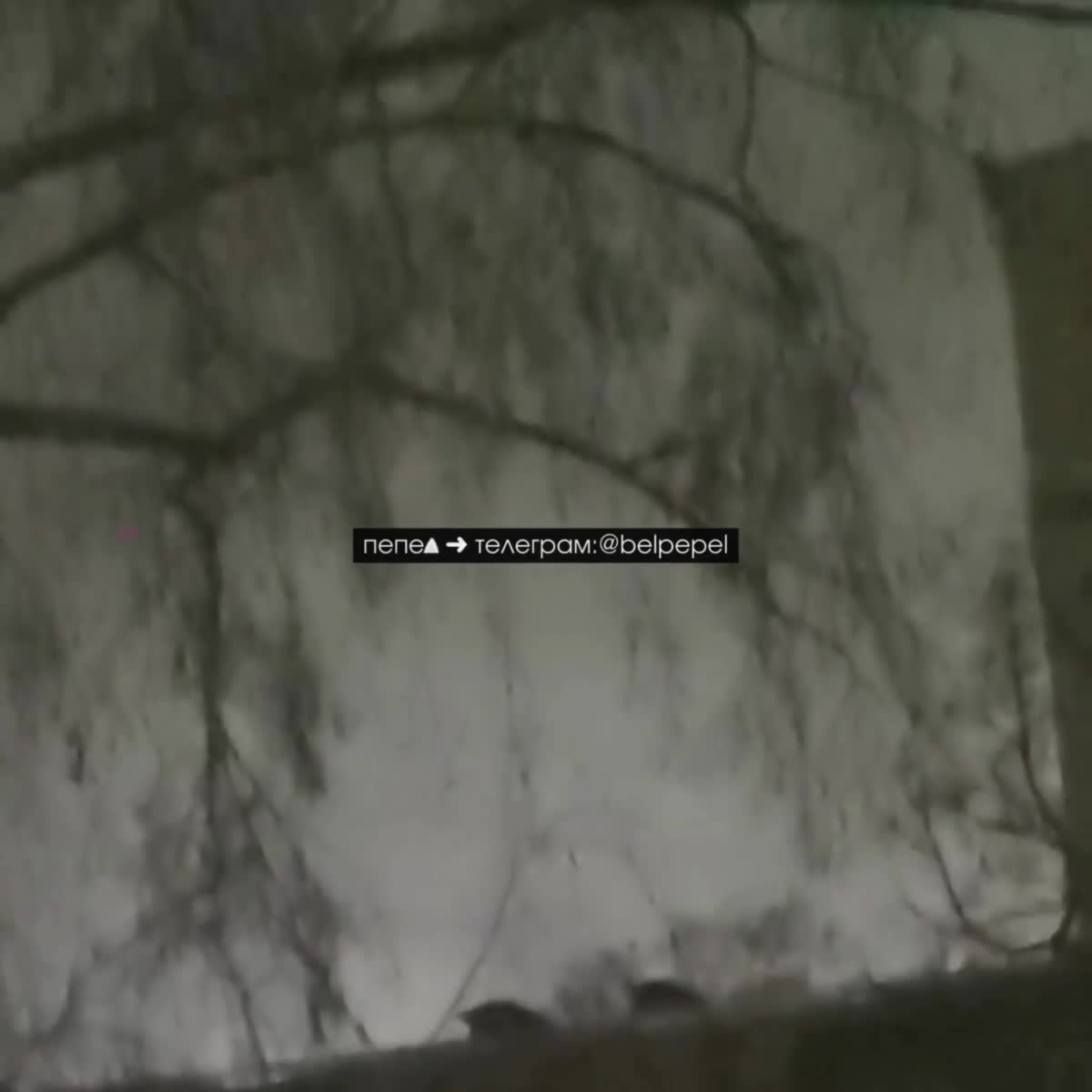 Violent explosions were reported in Belgorod, partial blackout in the city