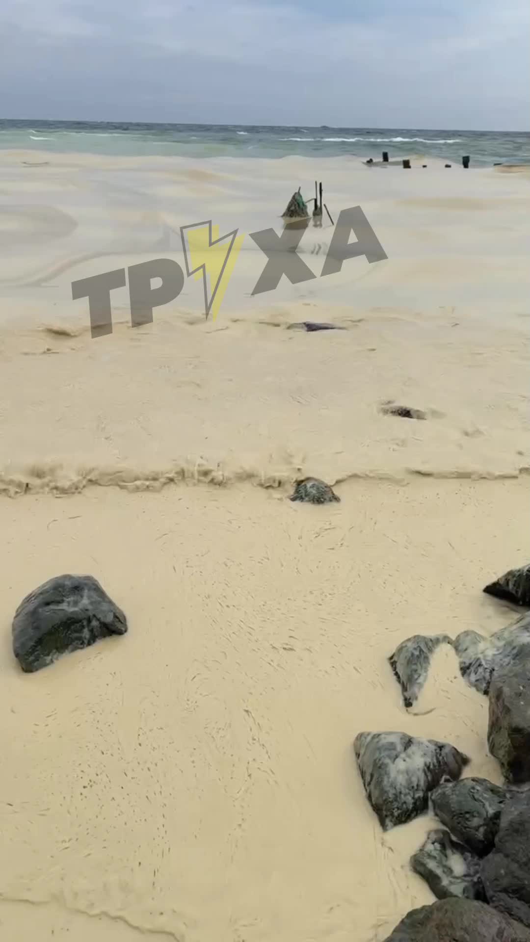 Deryaya nêzîkî Pivdenne, herêma Odesayê, ji ber êrîşên Rûsyayê yên li ser binesaziya bendergehê bi rûnê tov qirêj bûye.