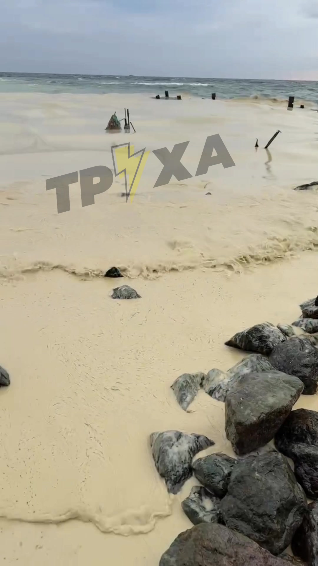 The sea near Pivdenne, Odesa region is polluted with seed oil, as result of Russian strikes at the port infrastructure 