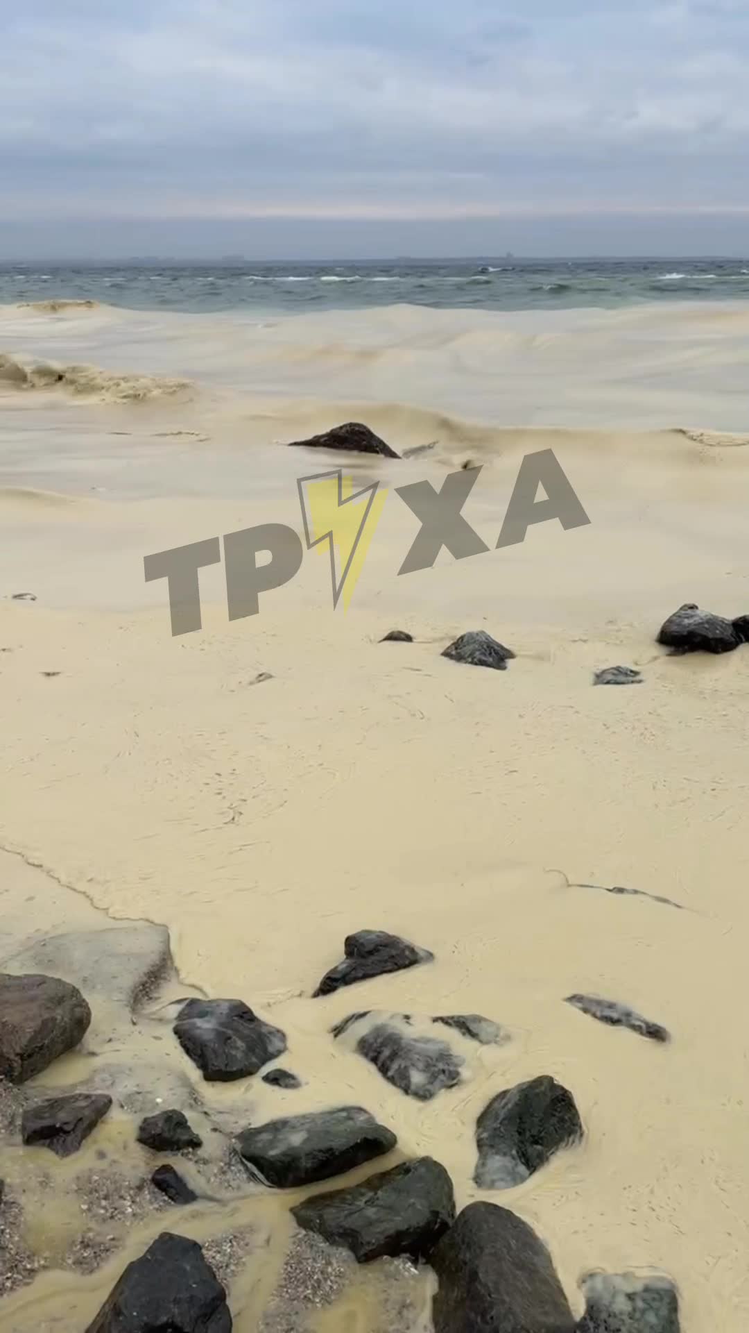 The sea near Pivdenne, Odesa region is polluted with seed oil, as result of Russian strikes at the port infrastructure 