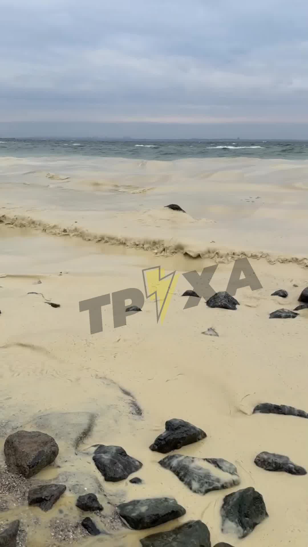 The sea near Pivdenne, Odesa region is polluted with seed oil, as result of Russian strikes at the port infrastructure 