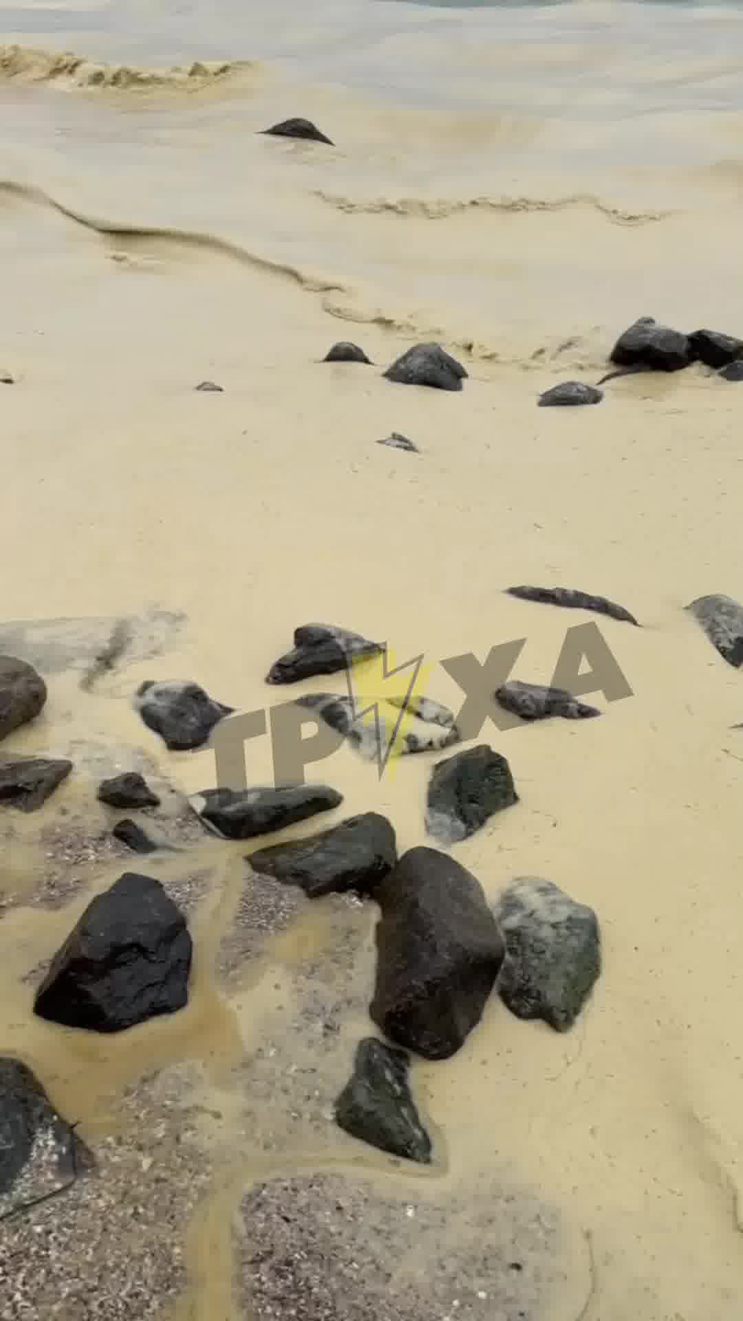 The sea near Pivdenne, Odesa region is polluted with seed oil, as result of Russian strikes at the port infrastructure 