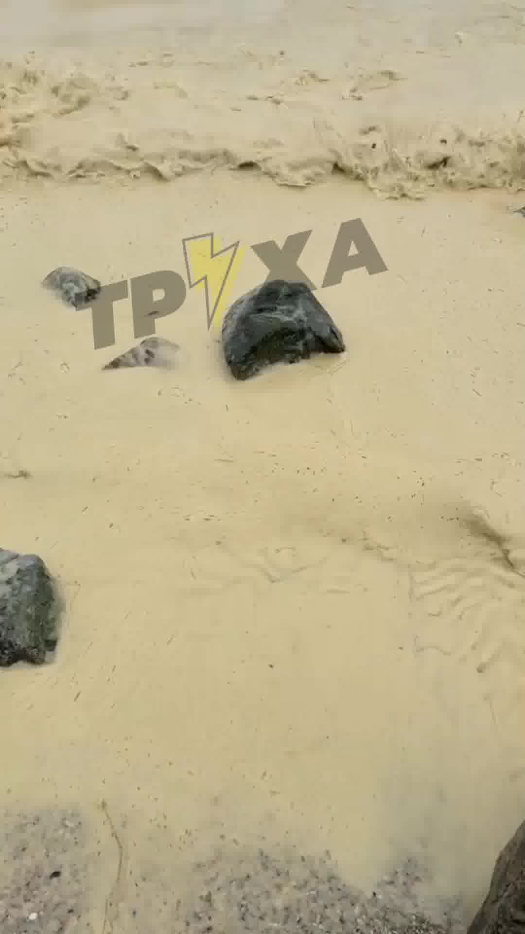 The sea near Pivdenne, Odesa region is polluted with seed oil, as result of Russian strikes at the port infrastructure 