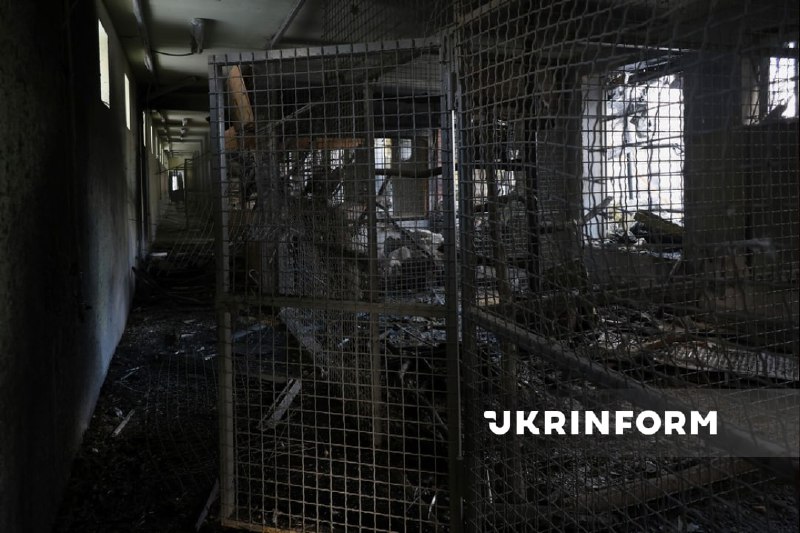 Russian aviation has dropped glide bomb at the zoo near Kharkiv, 1 person wounded, birds killed, a house for lions and tigers destryoed