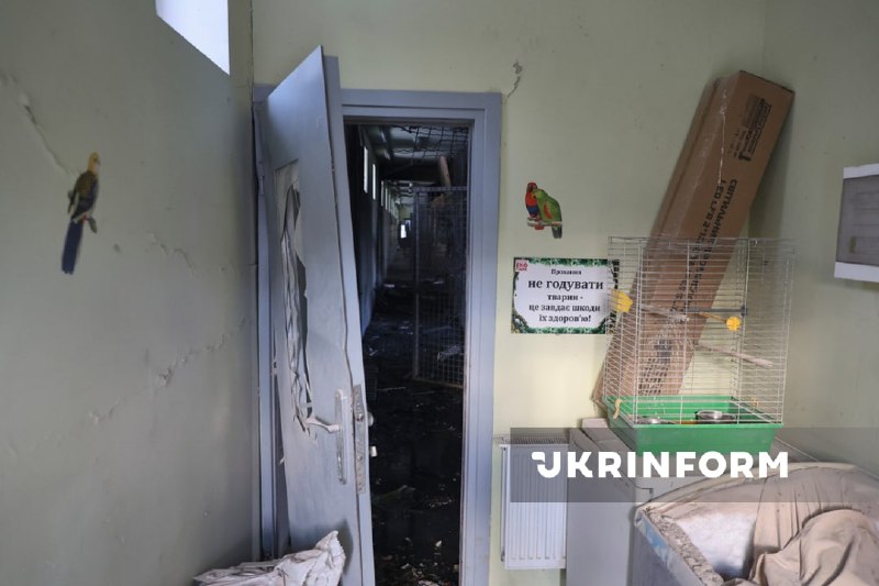 Russian aviation has dropped glide bomb at the zoo near Kharkiv, 1 person wounded, birds killed, a house for lions and tigers destryoed