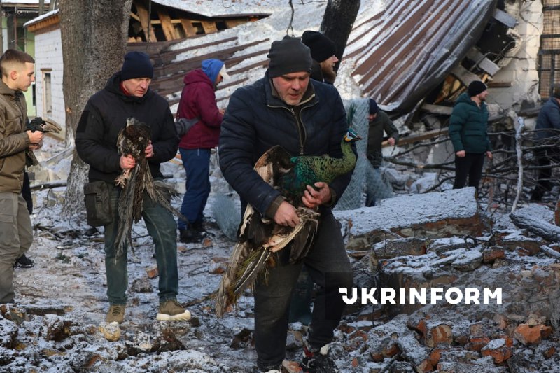 Russian aviation has dropped glide bomb at the zoo near Kharkiv, 1 person wounded, birds killed, a house for lions and tigers destryoed