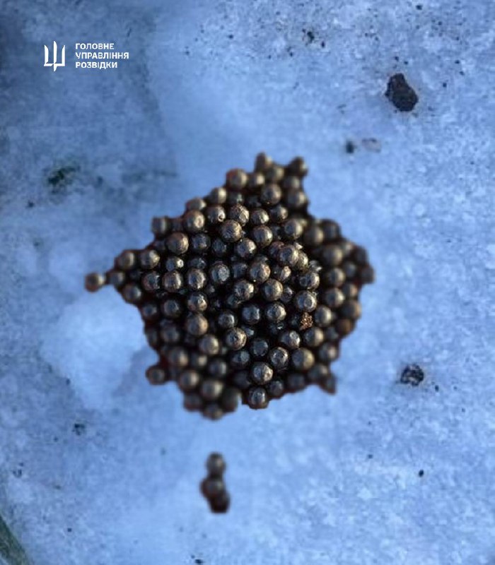 Ukrainian Military intelligence: Russia has used Heran-5 UAV for the first time