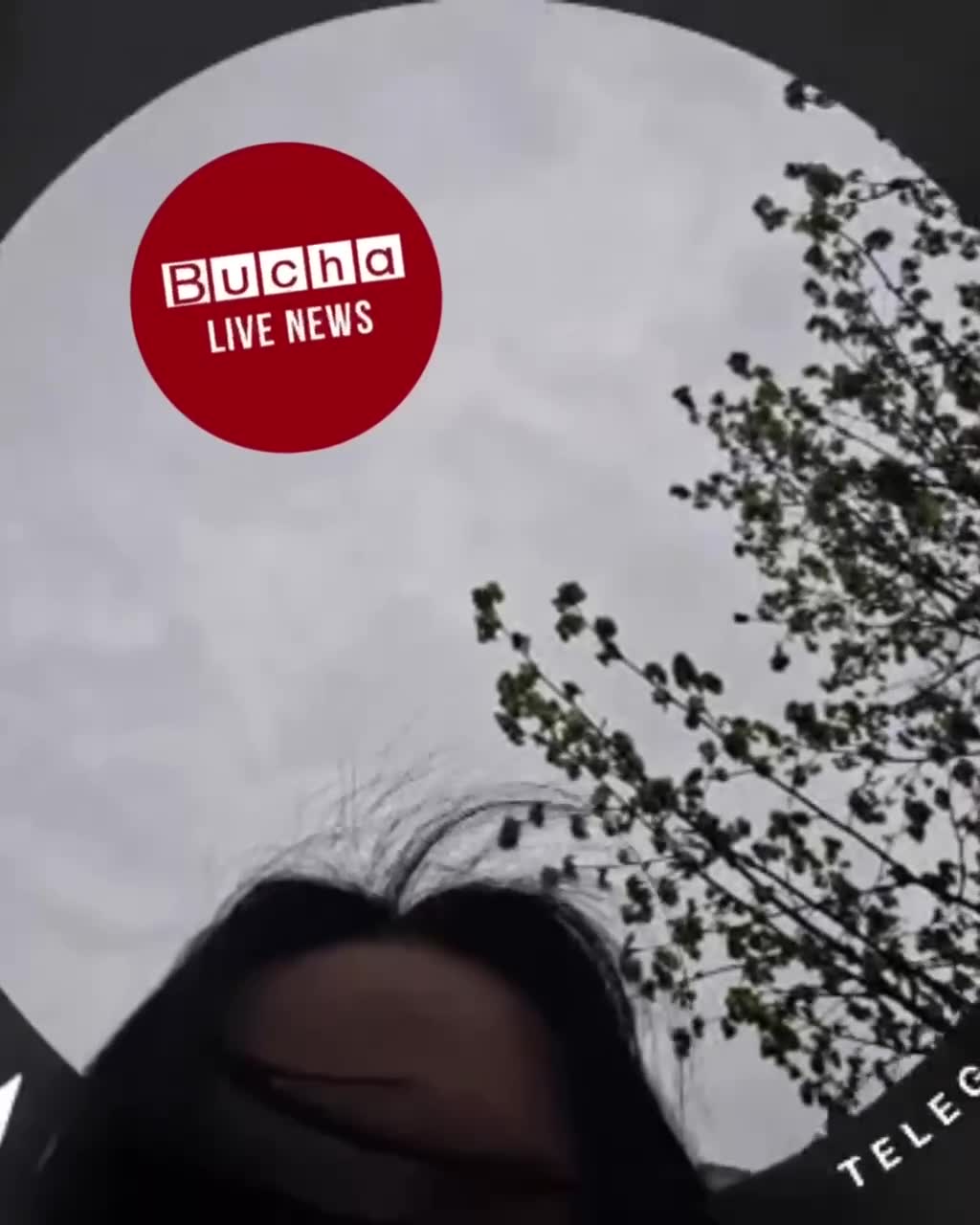 Shooting was reported in Bucha. Police detained a suspect