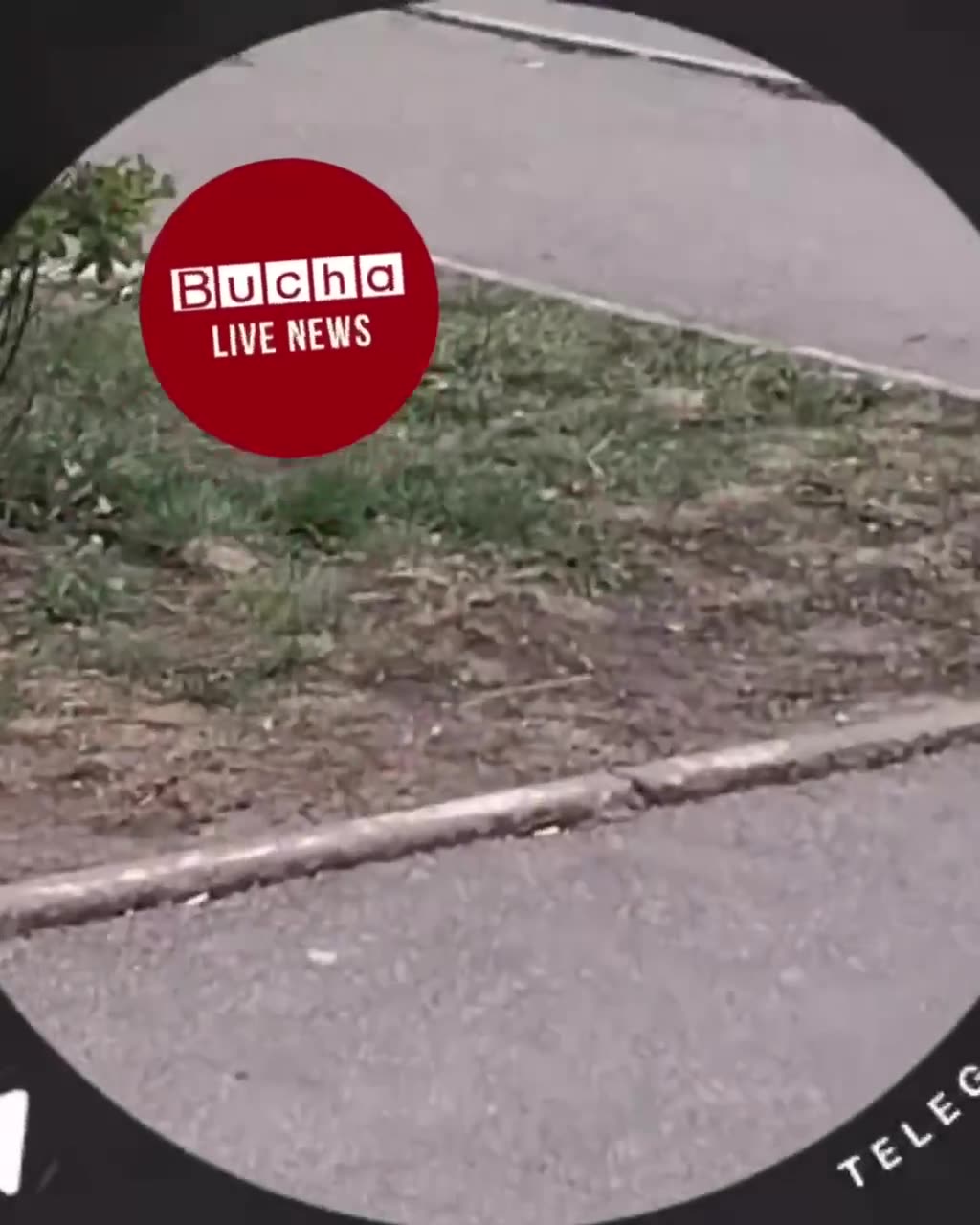 Shooting was reported in Bucha. Police detained a suspect