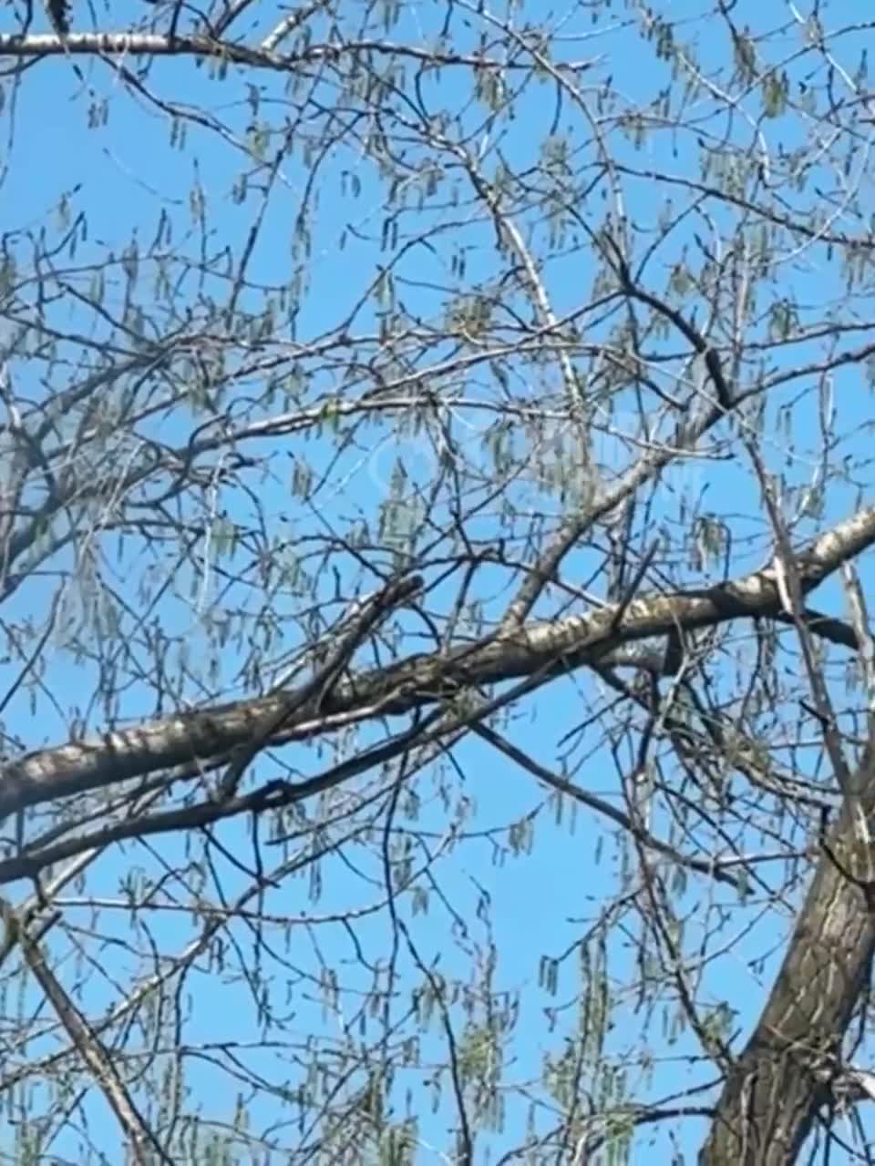 Drones raid reported in Dnipro city
