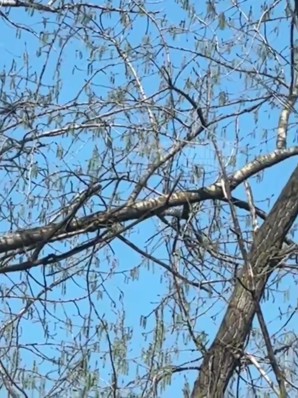 Drones raid reported in Dnipro city