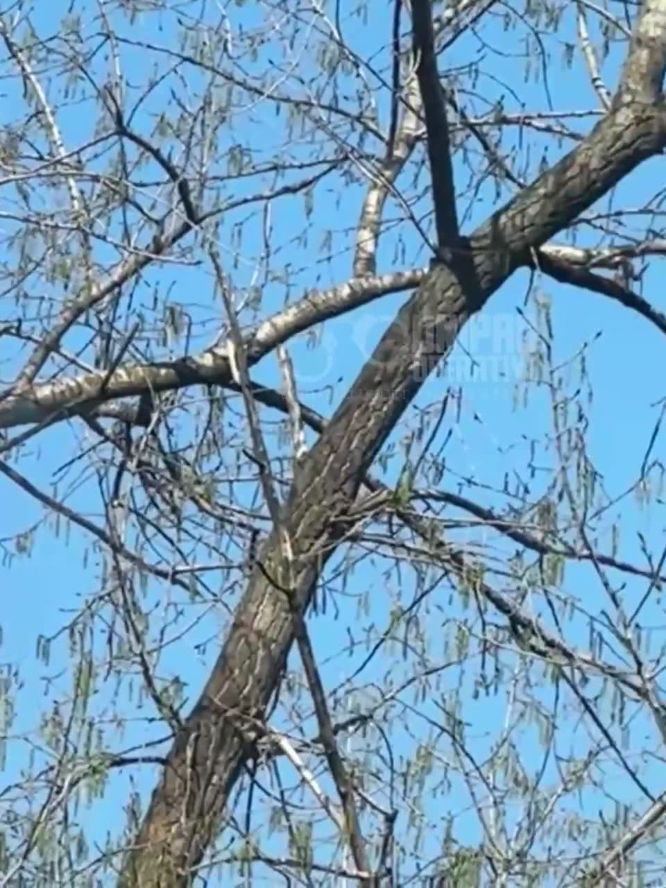 Drones raid reported in Dnipro city