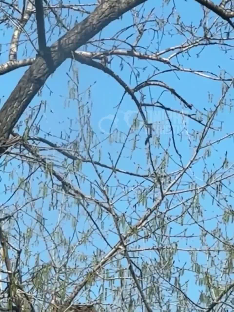 Drones raid reported in Dnipro city
