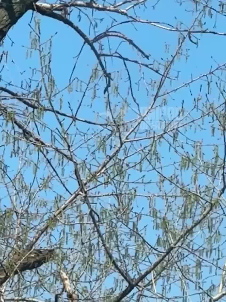 Drones raid reported in Dnipro city