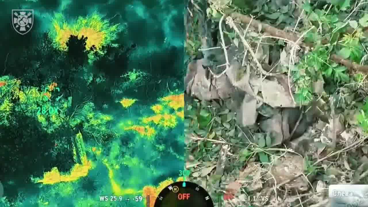 Ukrainian Defense Forces have denied Russian claims of the occupation of Novovasylivka village in Kharkiv region of Ukraine