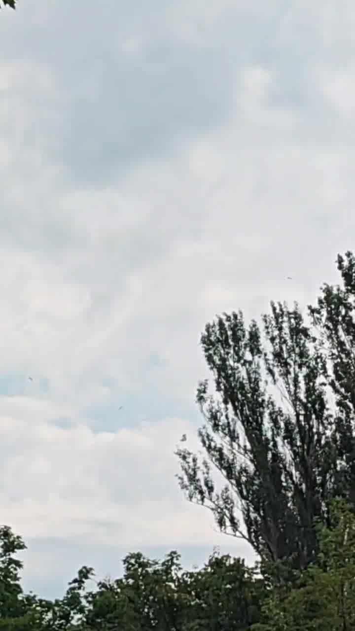 Explosions were reported in Zaporizhzhia