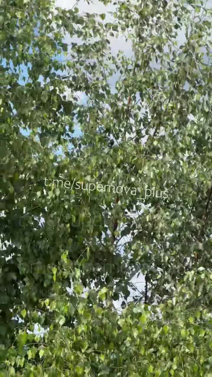 New drones raid reported in Moscow region of Russia