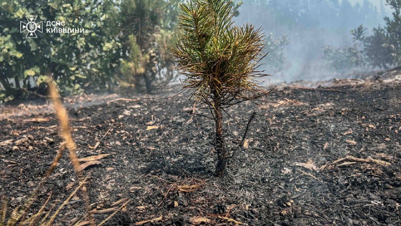 Fires continue in Chornobyl exclusion zone