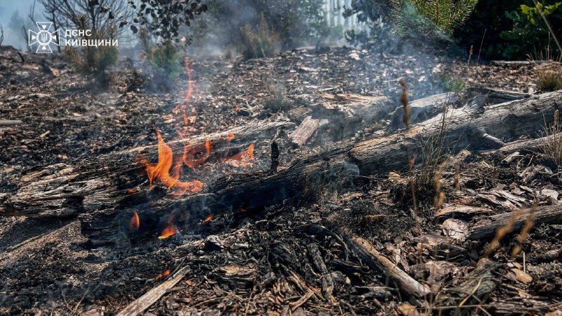 Fires continue in Chornobyl exclusion zone