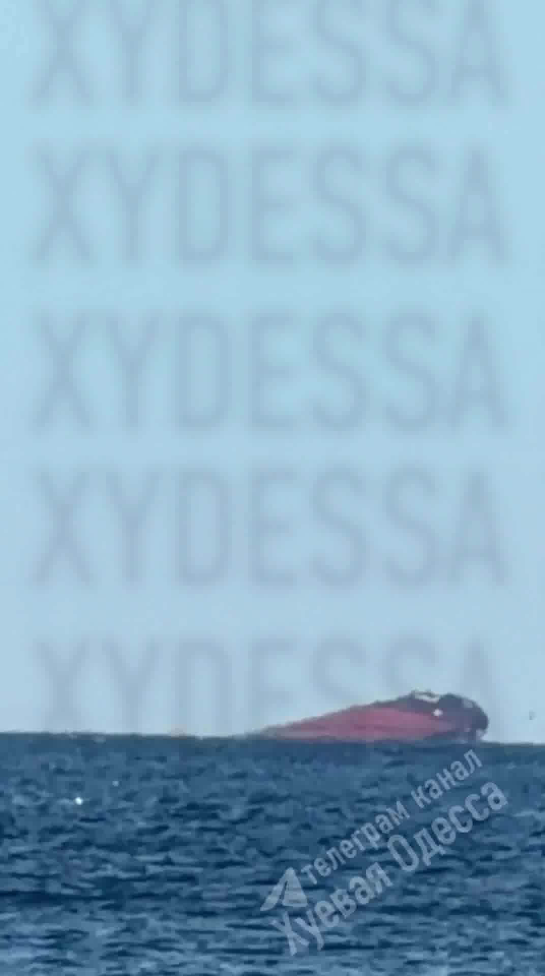 Bulk carrier Golden Leo (Guinea-Bissau flagged, Mumbai-owned, carrying corn from Odesa) capsized in shallow water off the Ukrainian coast today, a week after being hit by three Russian cruise missiles on 19 July. Casualties: 10 killed (9 crew Ukrainian pilot), including 4 Indians; 8 rescued