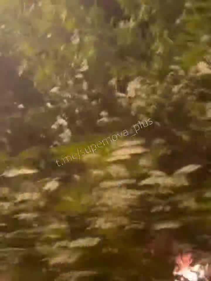 Explosions were reported in Belgorod