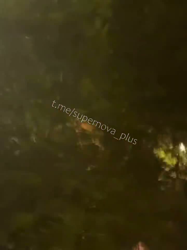 Explosions were reported in Belgorod