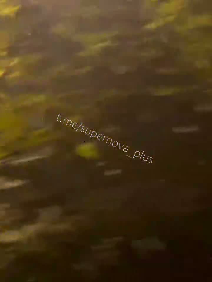 Explosions were reported in Belgorod