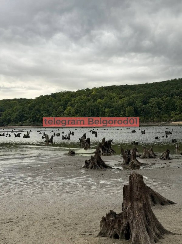 The Belgorod Reservoir has become shallow after a drone crashed into the dam in mid-July.