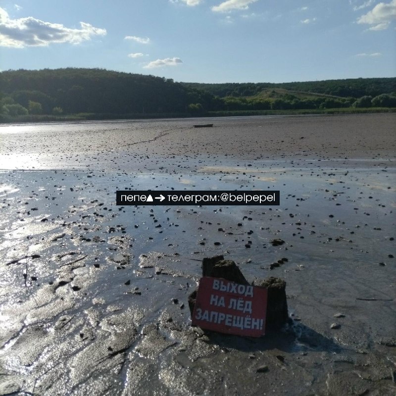The Belgorod Reservoir has become shallow after a drone crashed into the dam in mid-July.