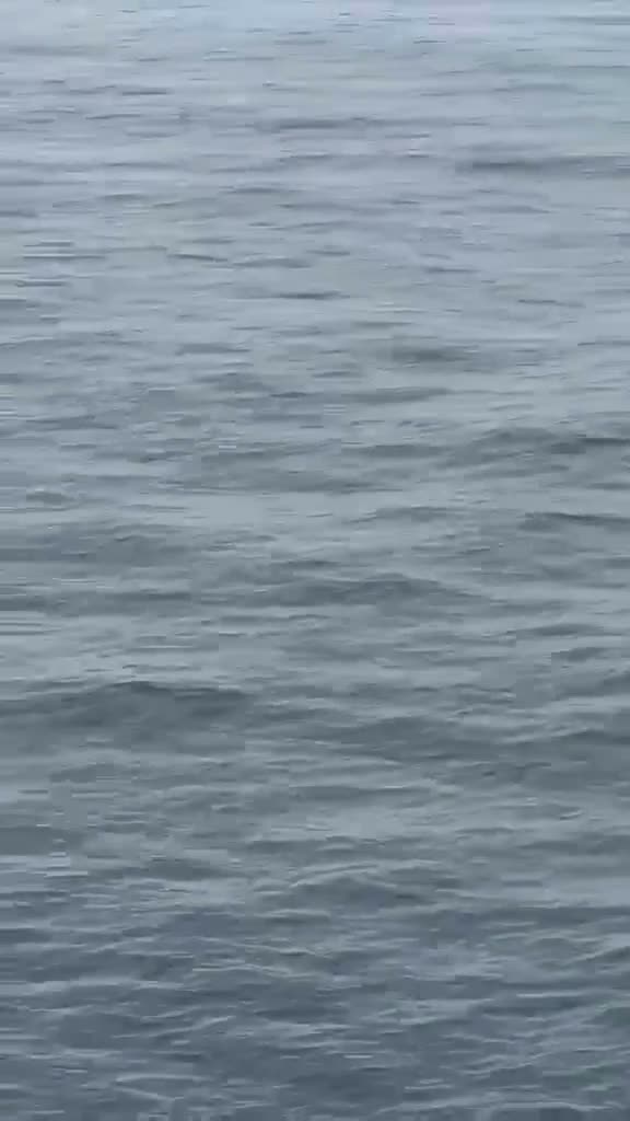 Surgiram imagens feitas a bordo do CONTSHIP JET, navio atingido por um drone na costa da Bulgária. Estão em andamento esforços para identificar o drone.